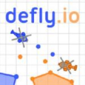 Defly . io